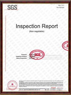 IN-CS-5801-23018 inspection report